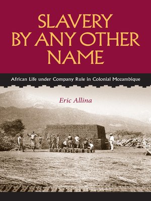 cover image of Slavery by Any Other Name